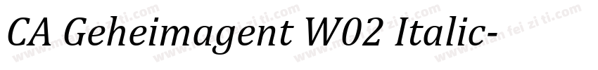 CA Geheimagent W02 Italic字体转换